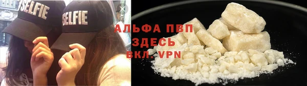 крисы Вязьма