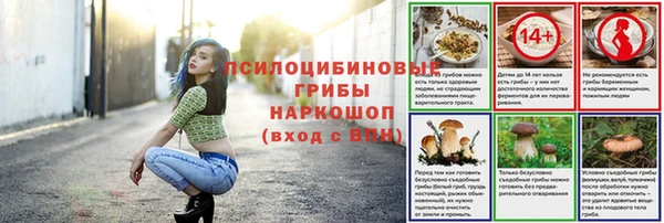 спиды Шали