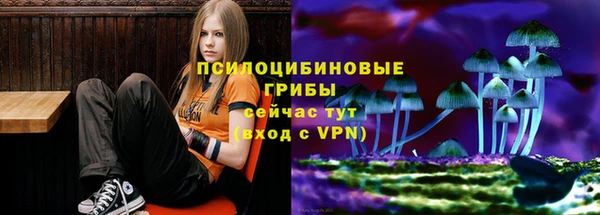 спиды Шали