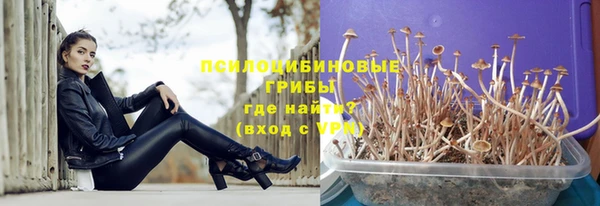 крисы Вязьма