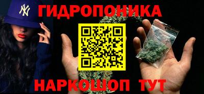 ешки Новодвинск