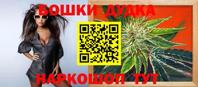 ешки Новодвинск