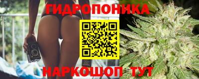 экстази Новозыбков