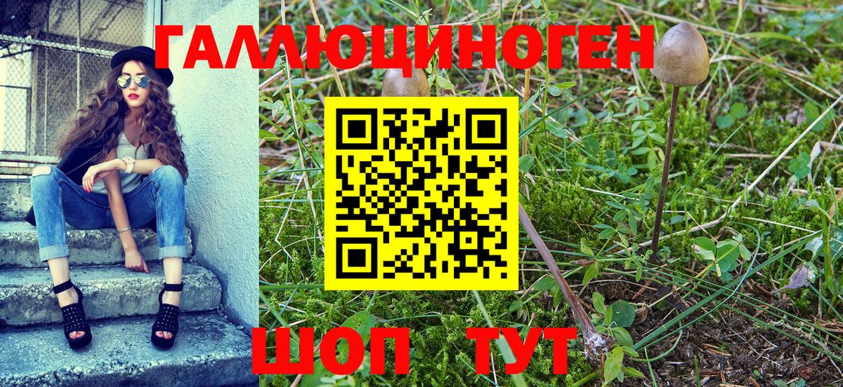 Псилоцибиновые грибы мухоморы  Вход с VPN  Моршанск  Псилоцибиновые грибы MAGIC MUSHROOMS 